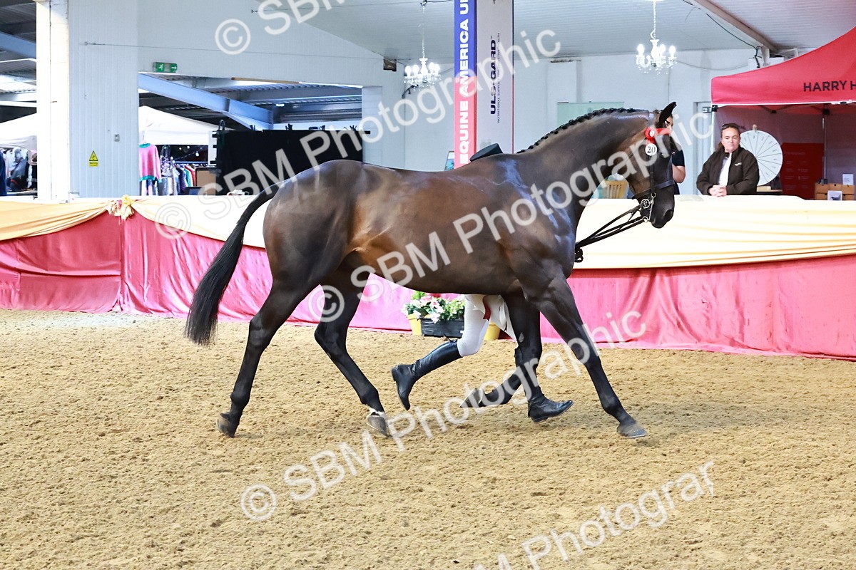 SBM_22451 - Class 902 - Supreme Final - IH Diamond