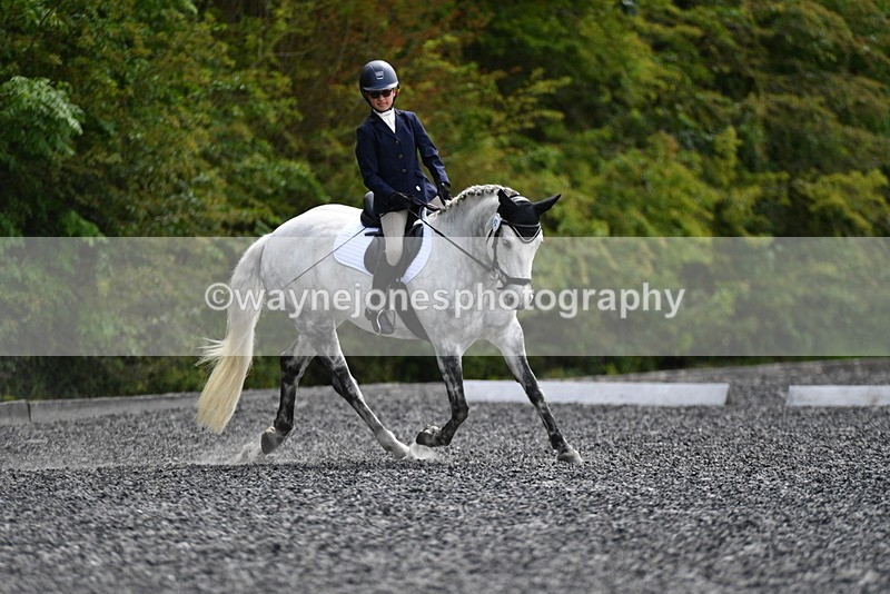 WJ5_1511 - Time 14:20 to 15:01