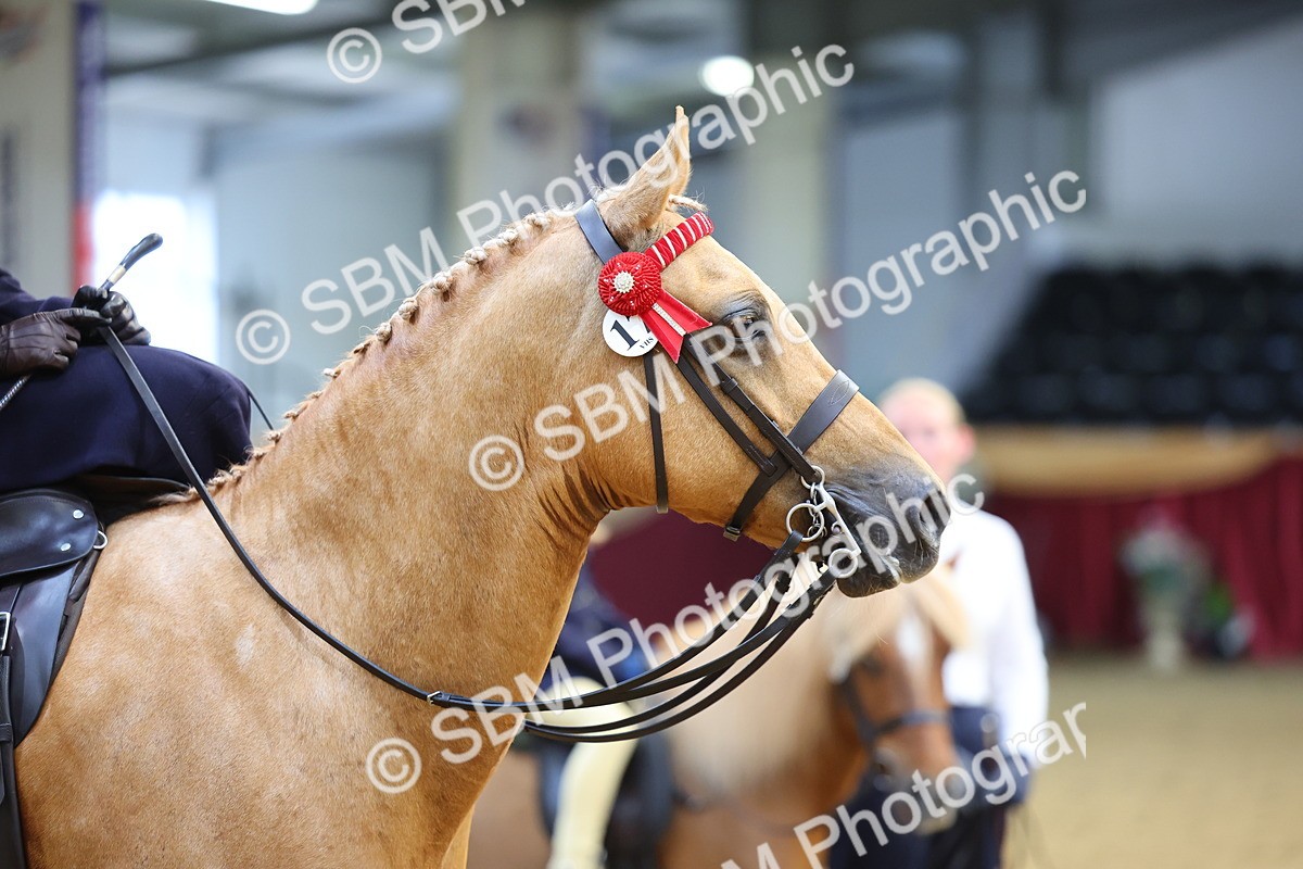 SBM_24393 - Class 906 - Supreme Final - Ridden Pre Vet