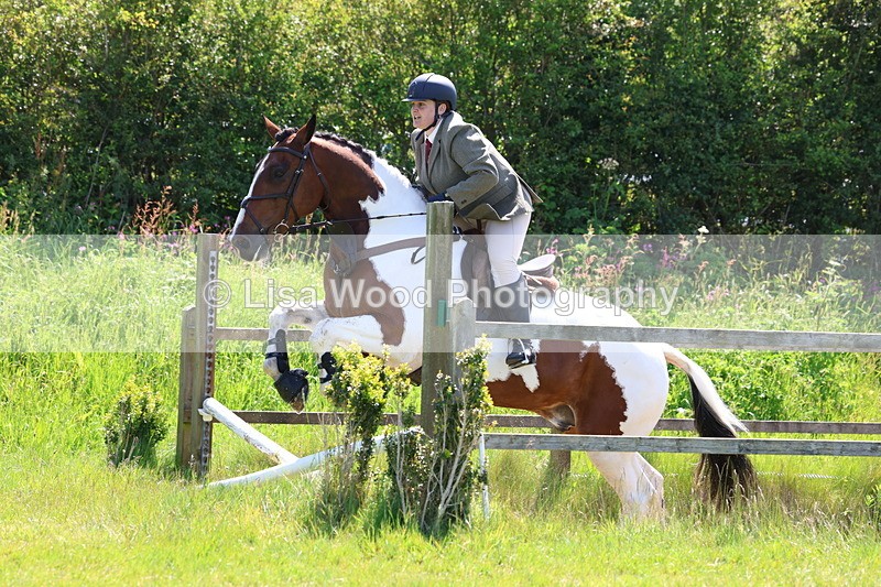 3E7A6879 - Class 30: Novice Working Hunter