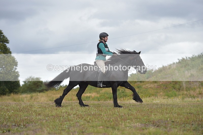 NGP_2769 - XC Time 11:37 to 11:57