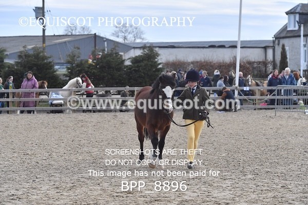 BPP_8896 - RING 2 - M&M