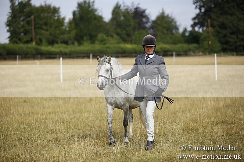 _C7A9172 - BVRC Sow 2018 Ring 2