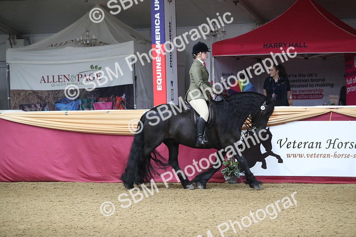 SBM_10320 - Class 102 Equitation (best rider) Adult