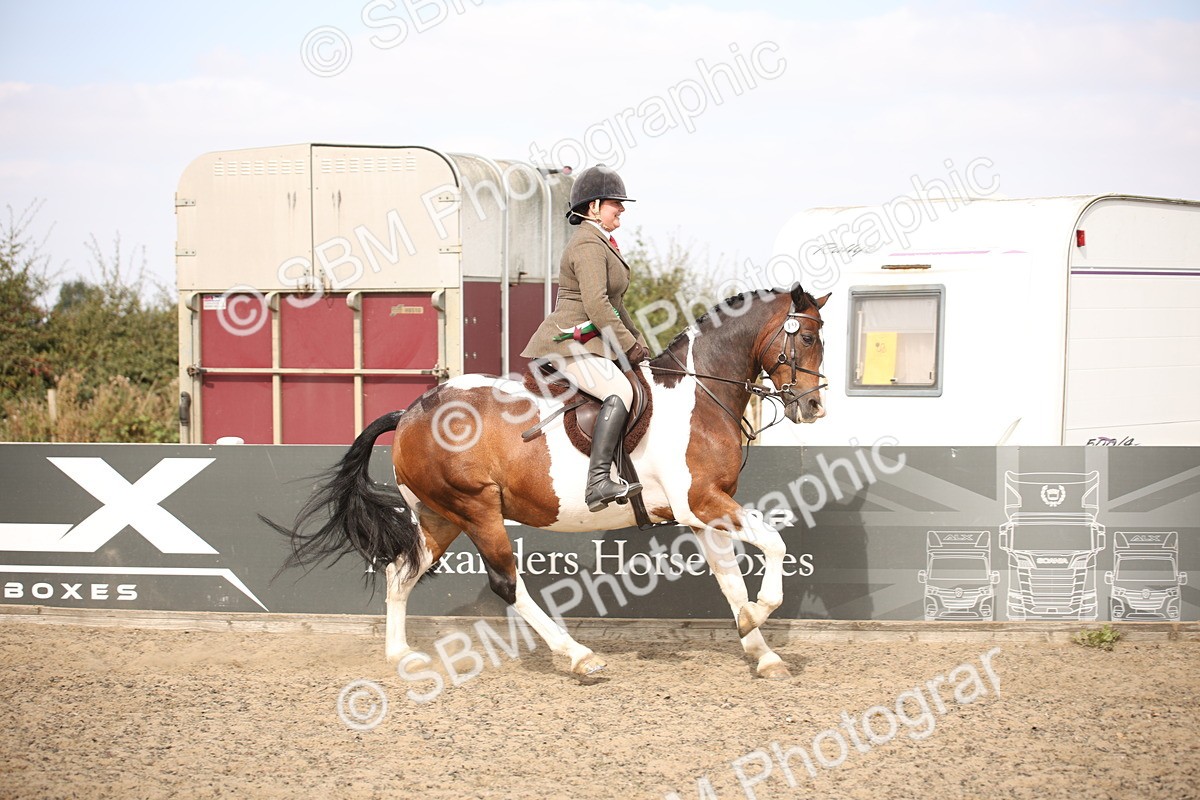 SBM_15084 - Class 408a - Working Veteran 70cm (15-19