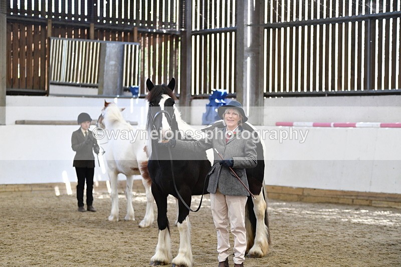 WJ5_5117 - Class 7 In hand coloured / odd coloured