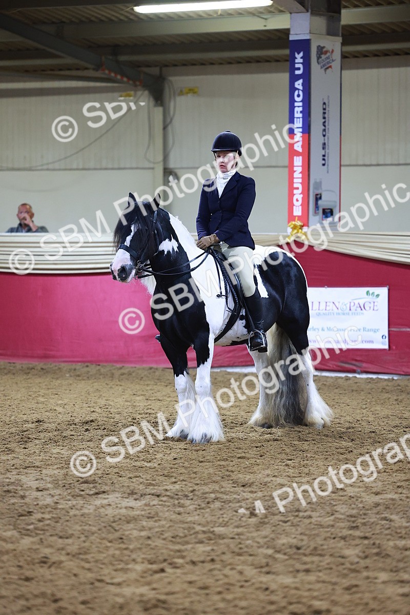SBM_14964 - Class M - Equitation Champ
