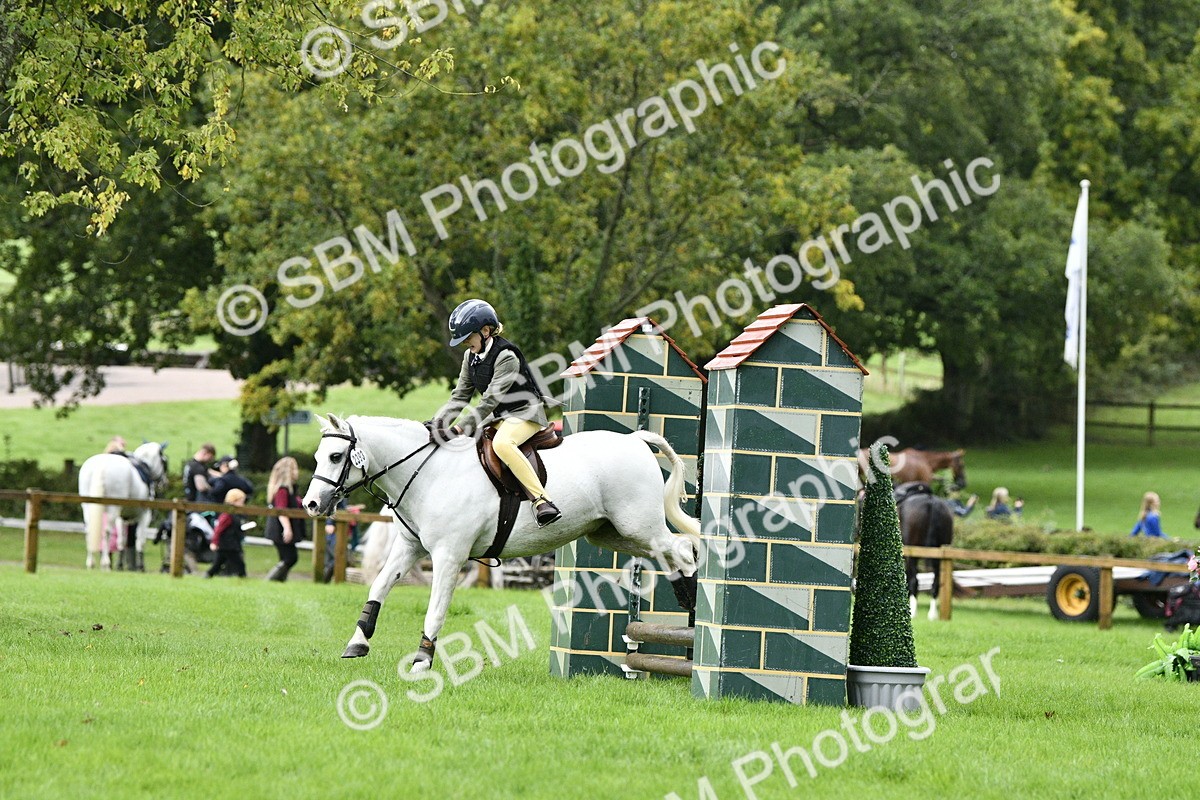 SBM_35476 - S30 - Nursery Stakes Working Hunter Pony