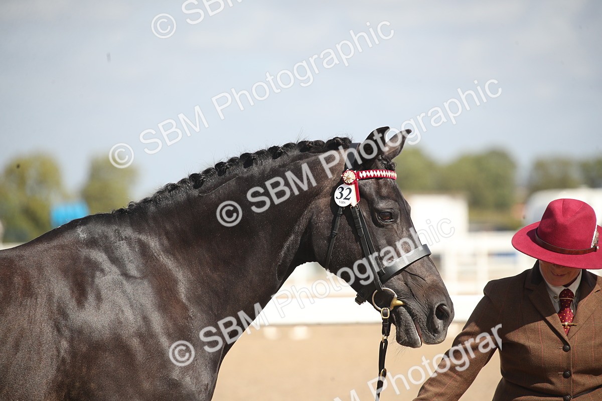 SBM_23424 - Class 604 - 2026 - Area IH Diamond