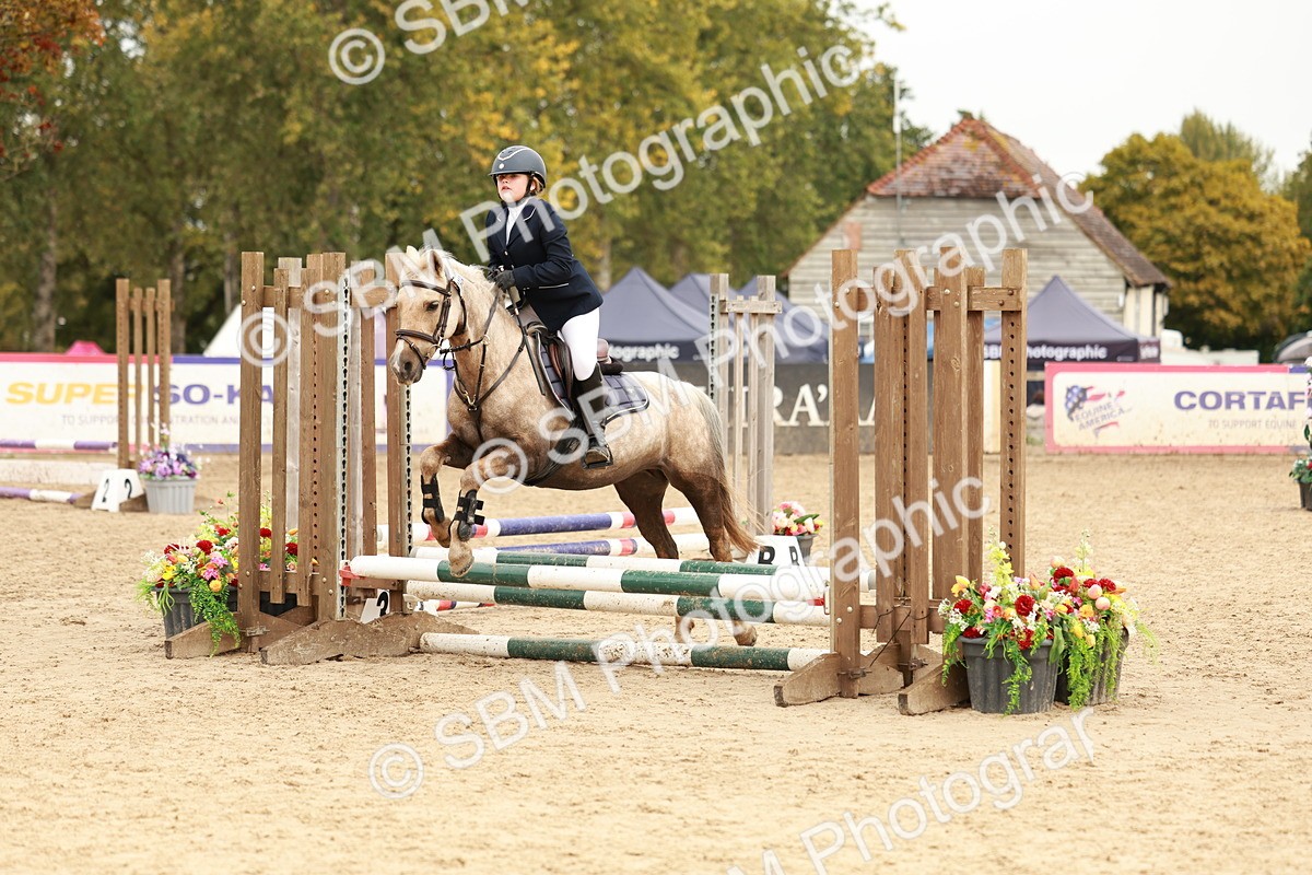 SBM_58008 - J11 - Junior Pony 50cm Championship