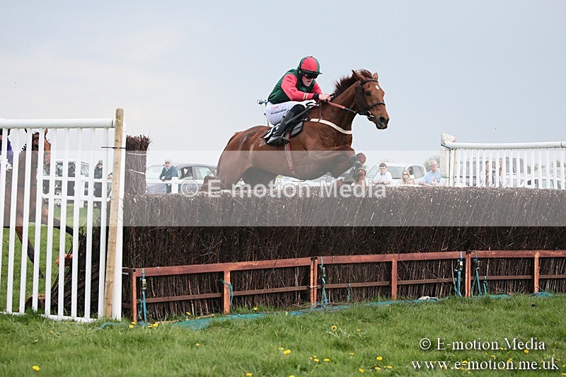 PtP 210418 371 - South & West Wilts Point-to-Point Larkhill 21/04/18