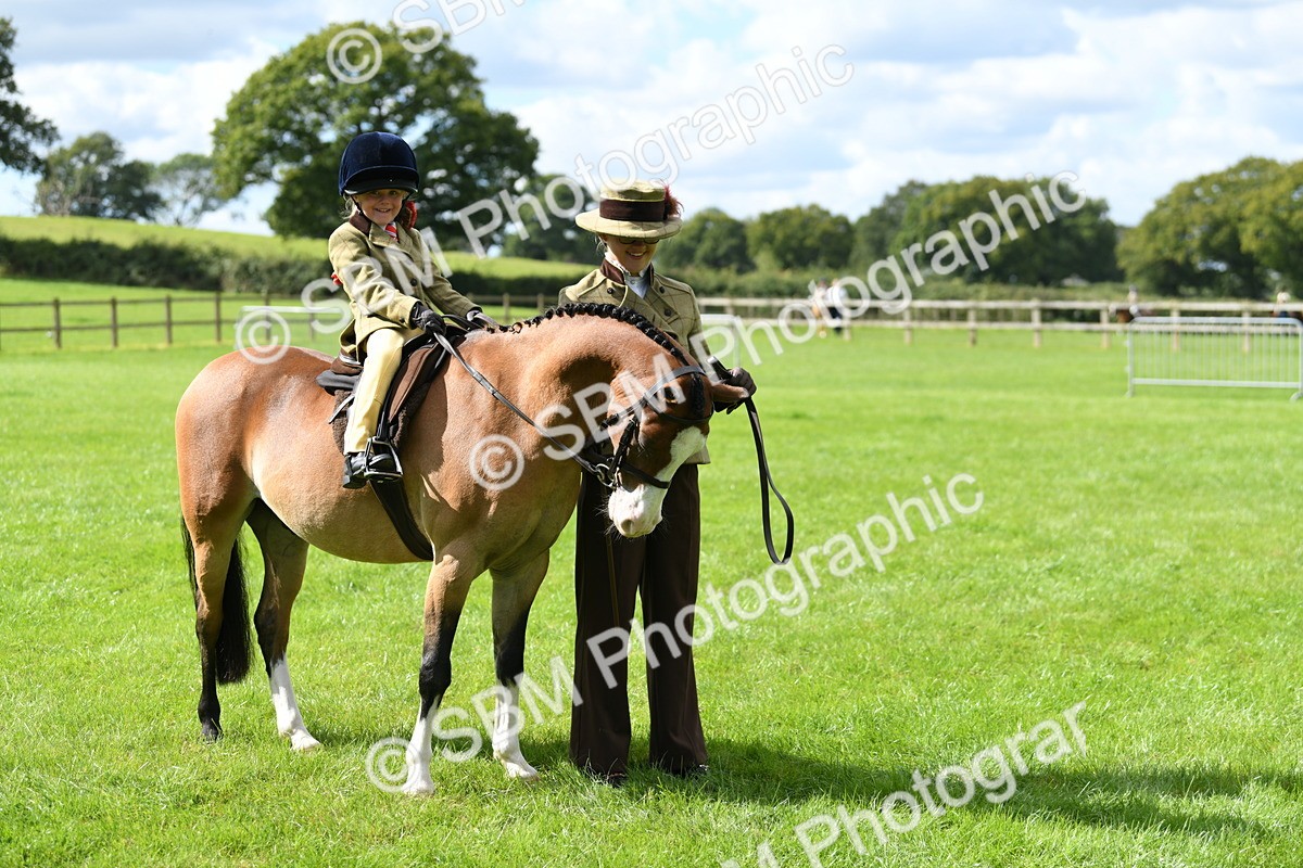 SBM_41207 - S19 - Lead Rein Show & Show Hunter Pony