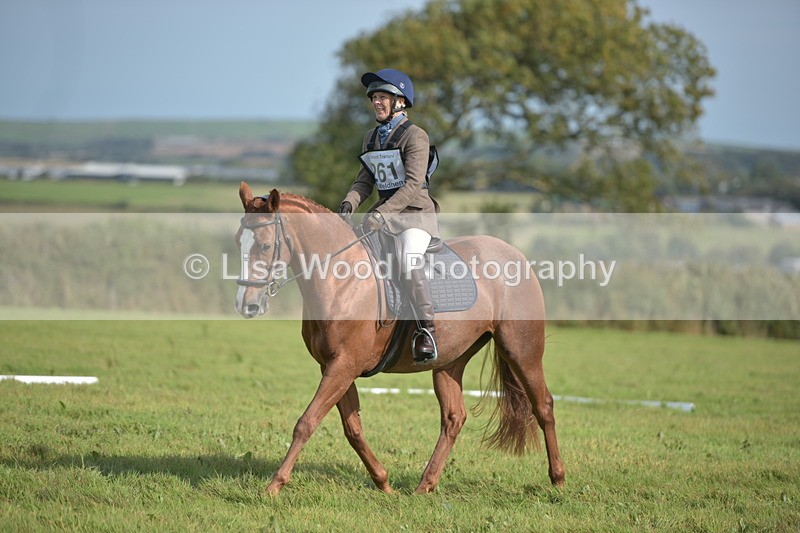 RAY_7846 - Class 2B: Trekenning Open: Dressage