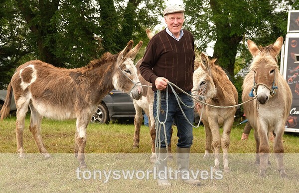 12, Smiling Man with Donkeys, Spancil Hill Horse fair, Co.Clare - Horse Fairs, Ireland