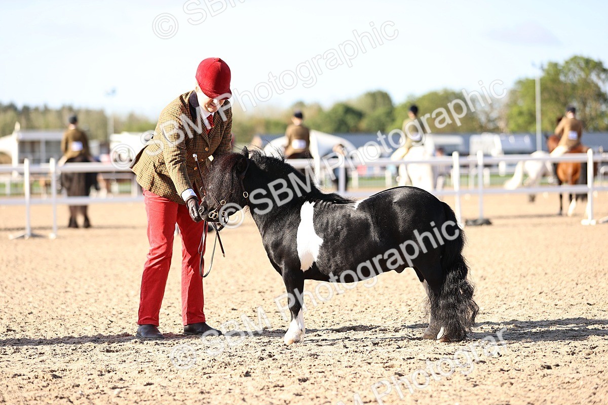 SBM_08472 - Class 402 - IH Veteran Pony