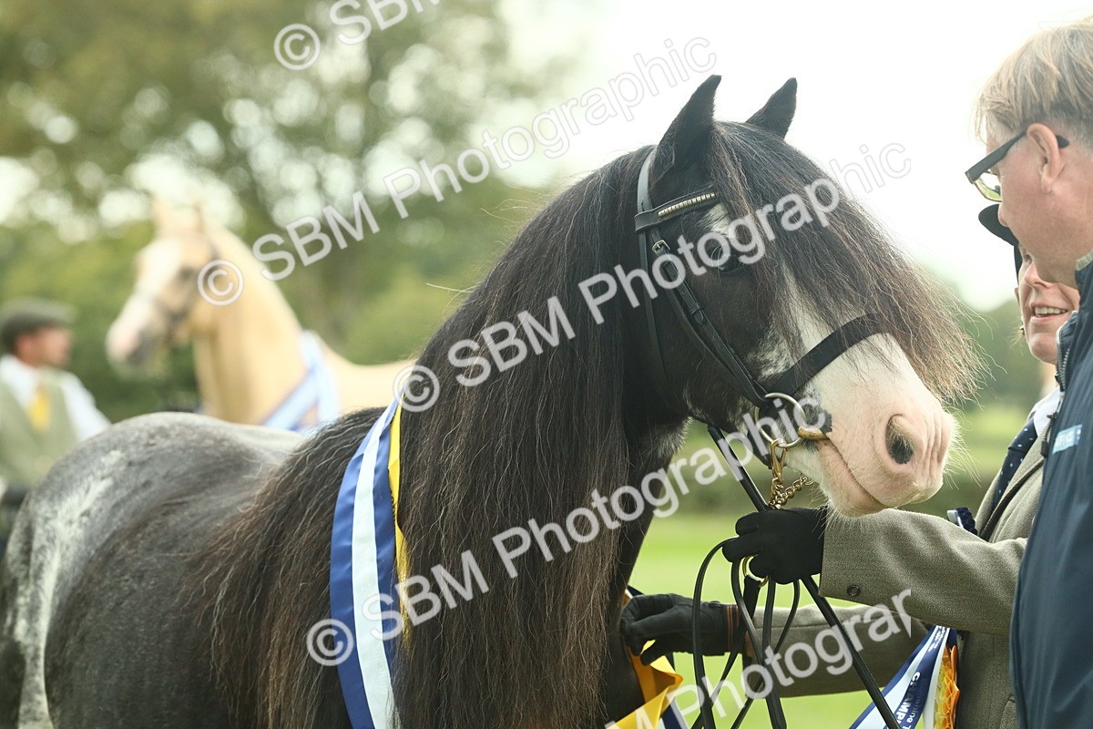 SBM_75193 - Super Supreme Championship