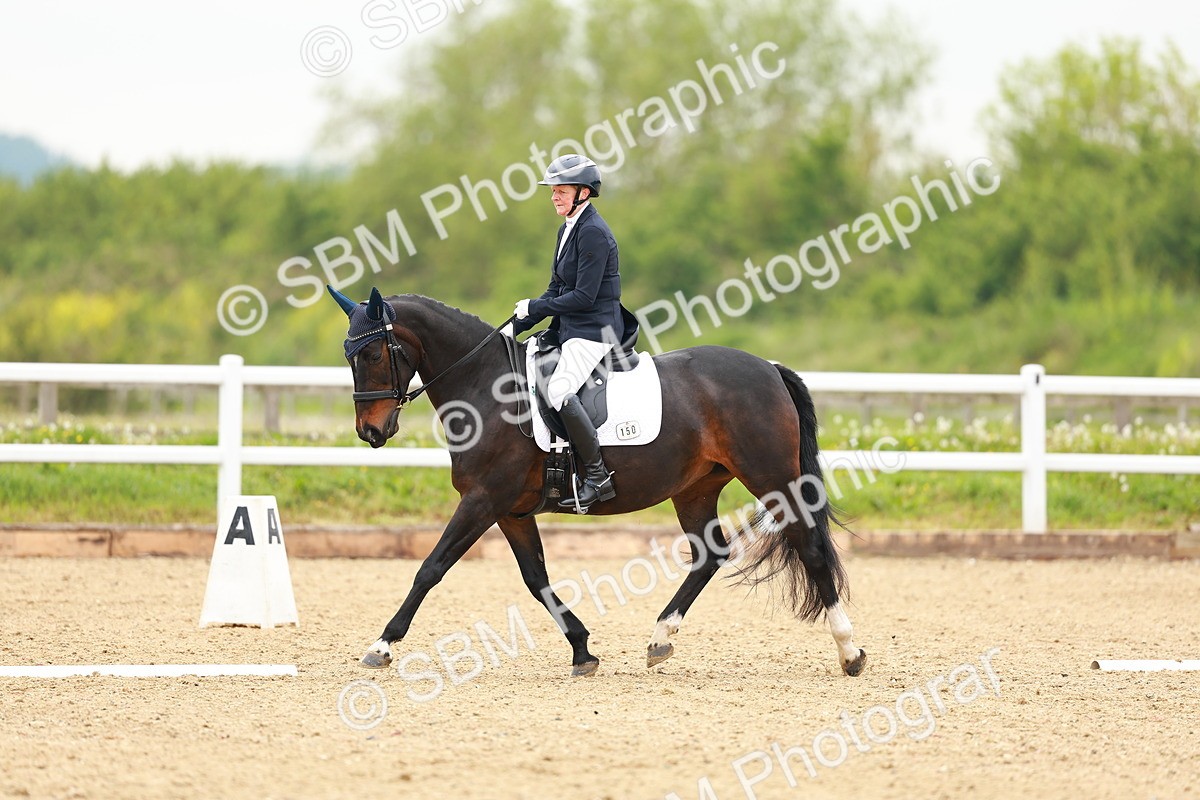 SBM_005074 - Class 15 - Novice 5