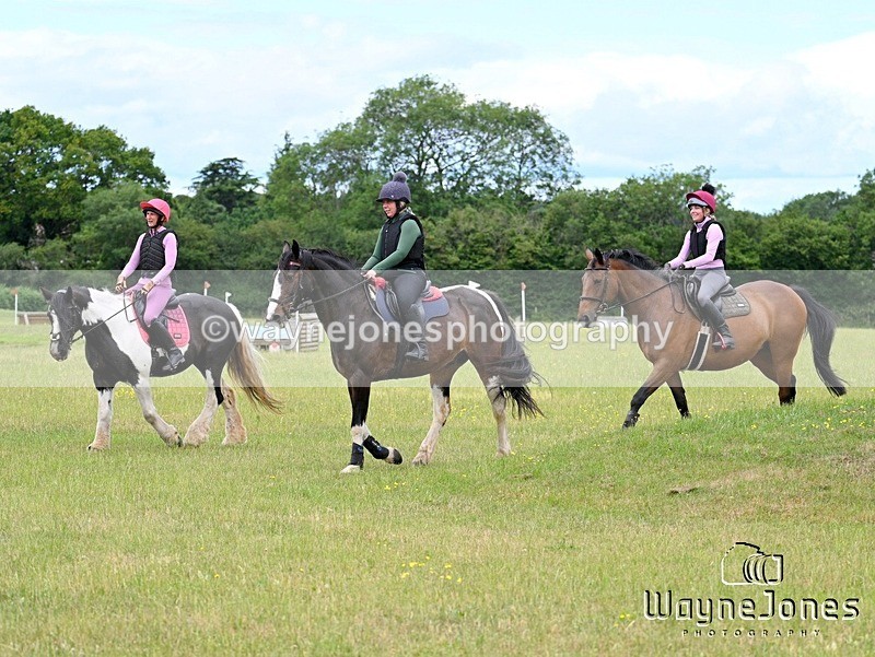 WJ7_8539 - Kellie Jade Ellie XC training with Kelly Harris 28-06-26