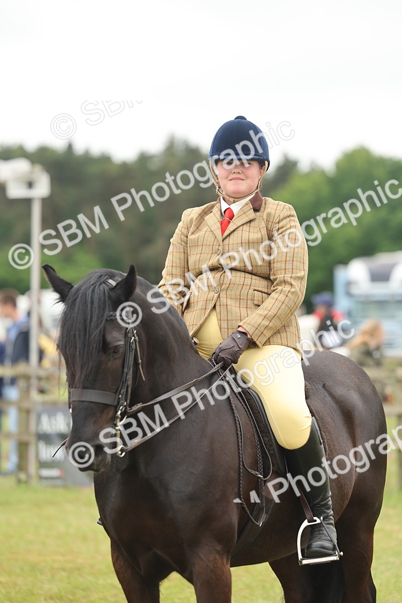 SBM_09020 - Class 78-80 - Ridden M&M Non Welsh Ponies