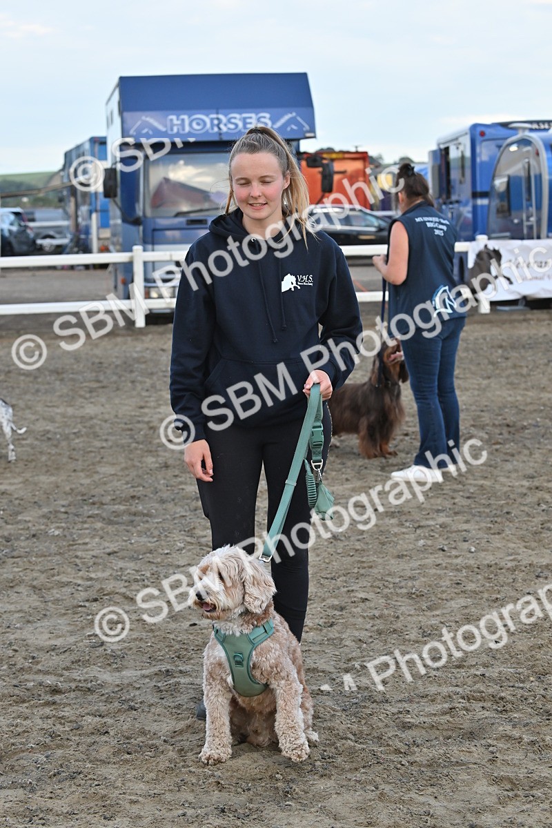 SBM_09547 - Lorry Dogs