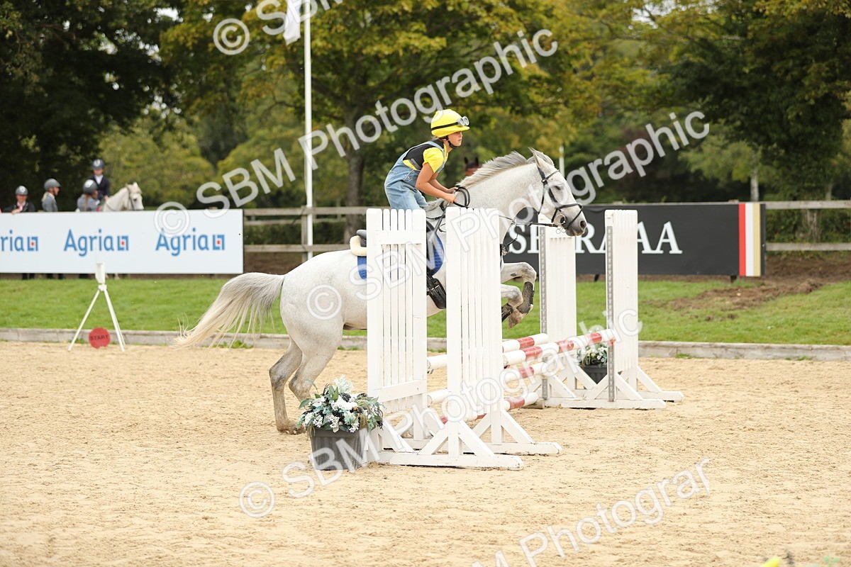 SBM_65638 - J48 - Pairs Jumping Open 70cm & 85cm