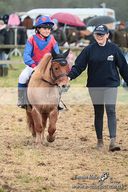 SHETPR 210425 61 - Shetland Ponies Paxford Races 21/04/25