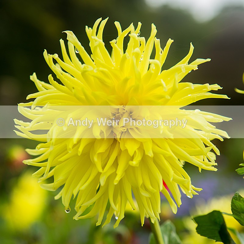 20131002-3K8A6761 - Plants & Flowers