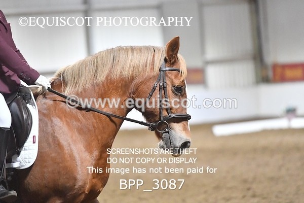 BPP_3087 - INTRO TEST 2