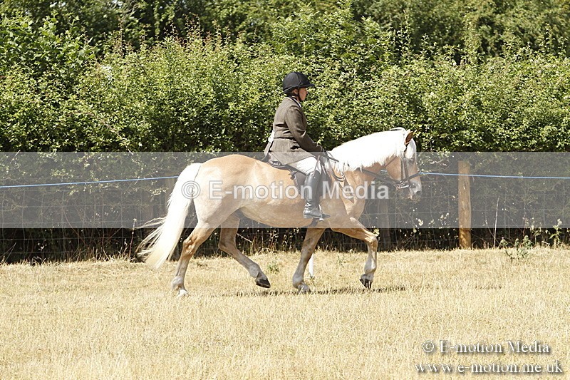 _BS_0715 - BVRC Show 2018 Ring 1