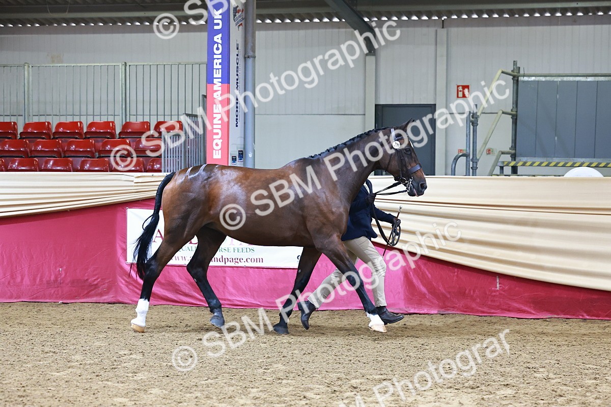 SBM_21752 - Class 901 - Supreme Final - IH  Diamond