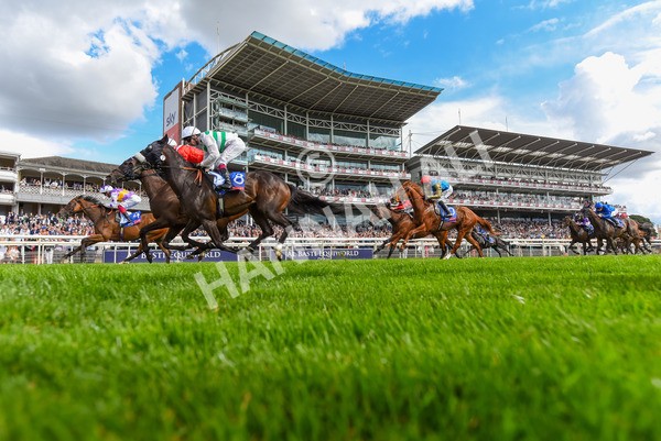 260823-Race 3-Kinross-1595 - Race 3 Sky Bet City Of York Stakes