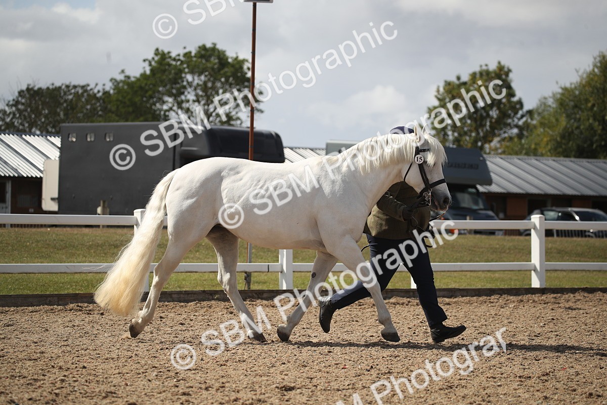 SBM_23096 - Class 606 - 2026 - Area - IH Pre Vet