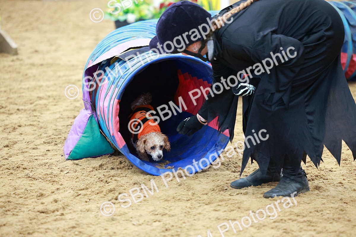 SBM_001766 - Class 3 - Horse & Hound (60cm)