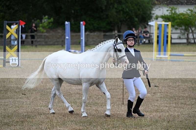 WJ7_8341 - Class 4 Prettiest Mare up to 14.2hh