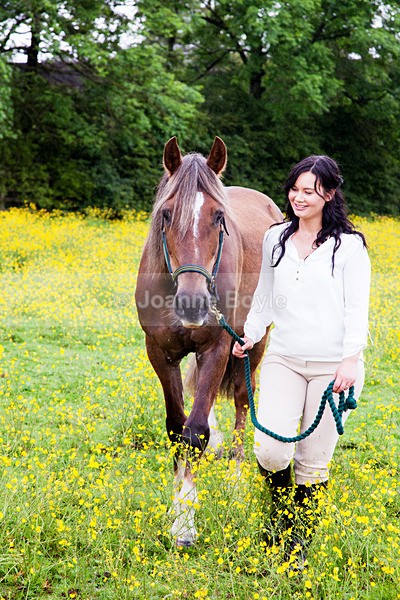  - Equine Gallery Portfolio
