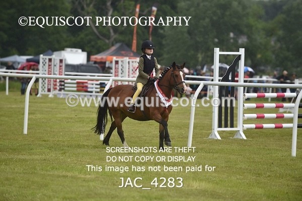 JAC_4283 - WORKING HUNTER CHAMPIONSHIP