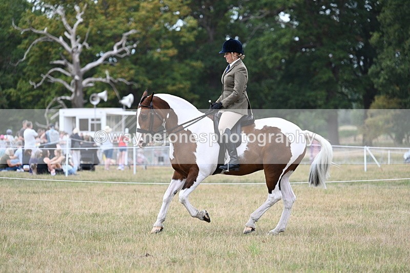 WJ7_5069 - Class 12 Ridden Cob