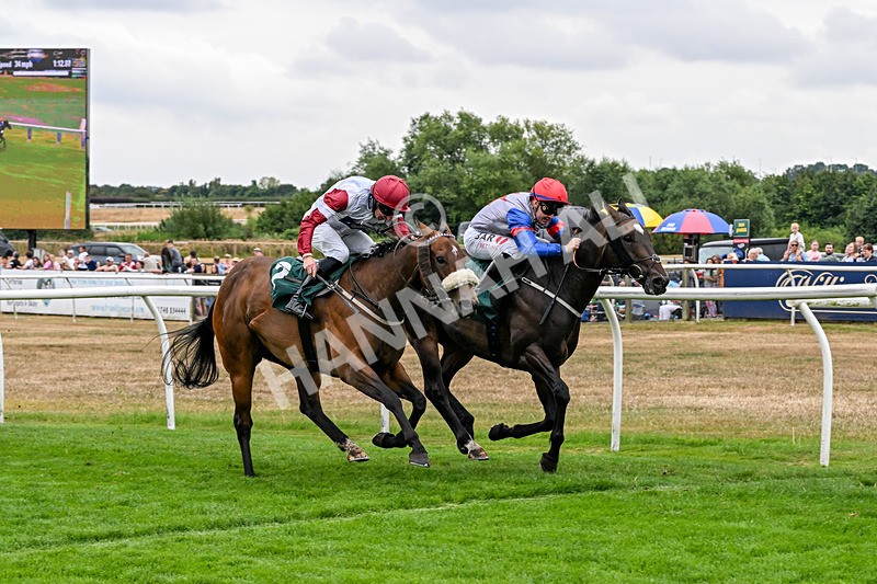 170826-Race 3-Quercus-9373 - Race 3 15.15pm Chapman Milestones Celebration, Thank You NHS Handicap