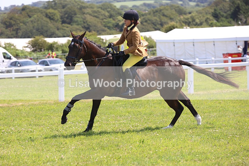 JPP_3067 - Class 22: Working Hunter 70cm