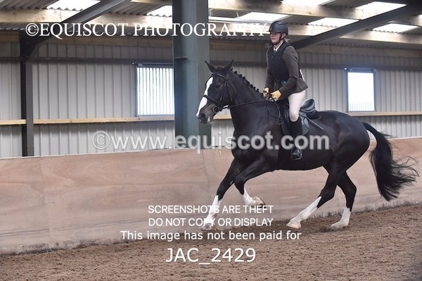 JAC_2429 - CLASS 3 Intermediate Working Hunter