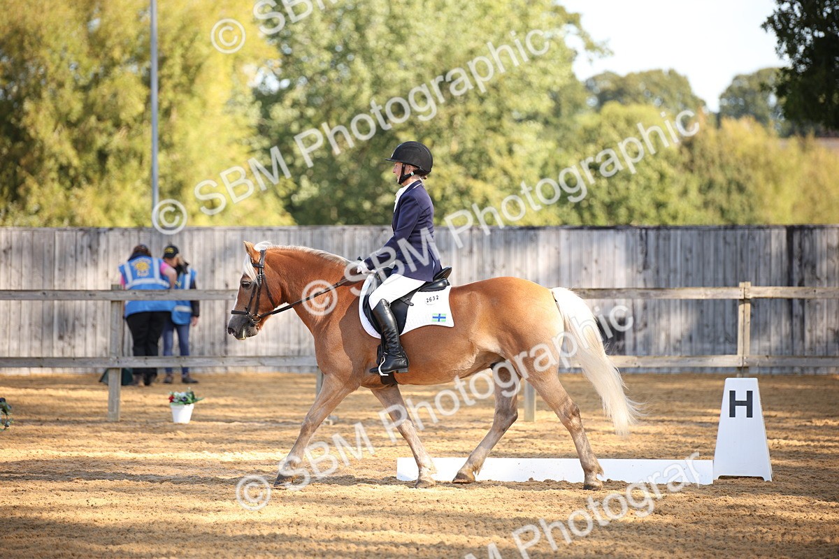 SBM_18377 - D31 - Grand Tour - PYO Open