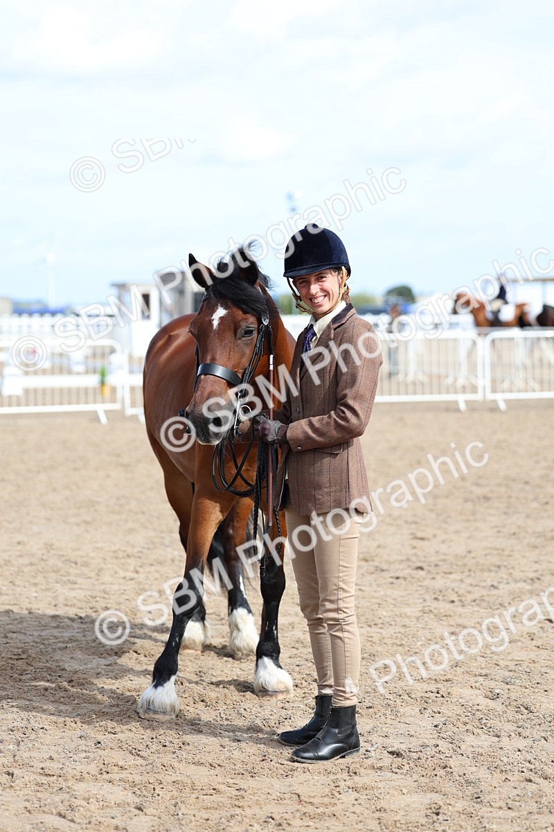 SBM_02387 - Class 19 - Horse or Pony Judge would most like to take home