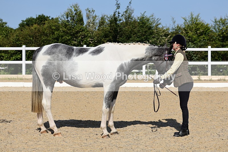 1X9A0749 - Class 4: Youngstock 1, 2, 3 year old to exceed 153cm
