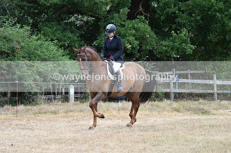 WJ7_0824 - Class 7 Riding Club Show Horse