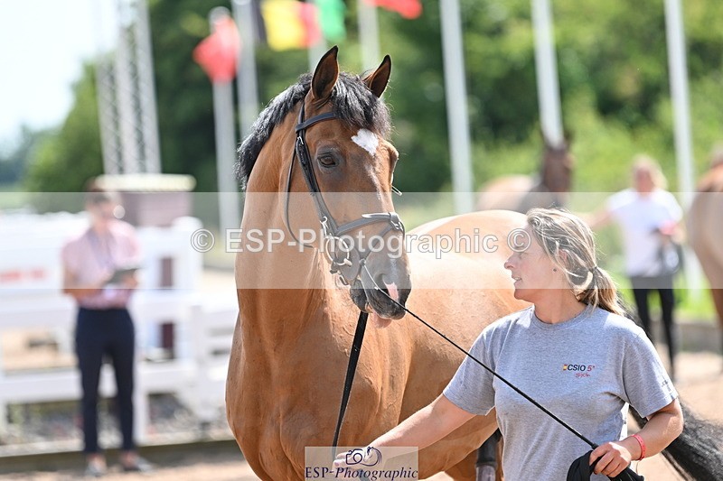 240717A-150335-02496 - Trot Up 3pm to 4pm