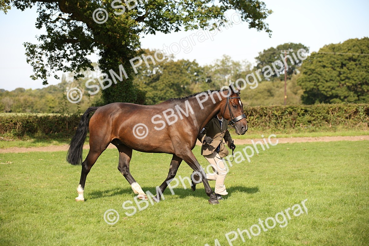 SBM_60148 - S53 - Hunter In Hand