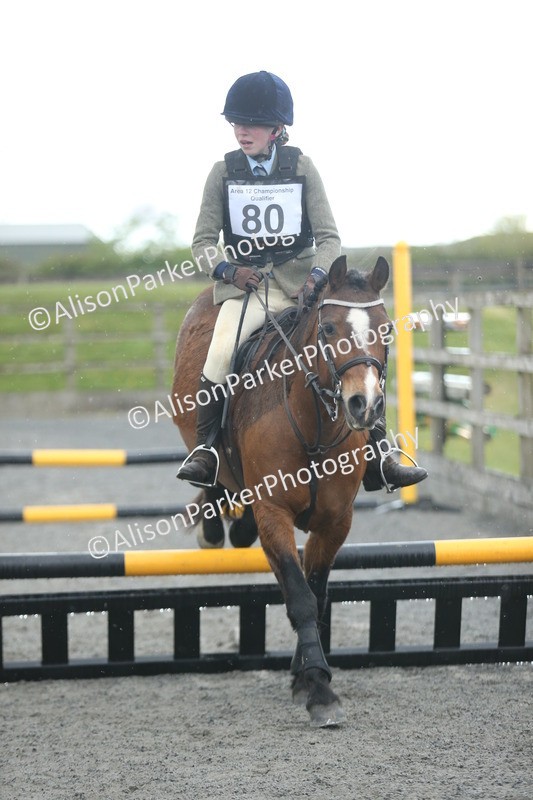 20260412-1908 - Show Jumping