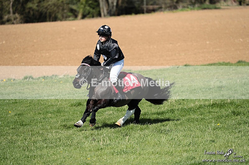 Shet 060426 314 - Shetland Pony Racing Paxford Races Easter Mon 06/04/26