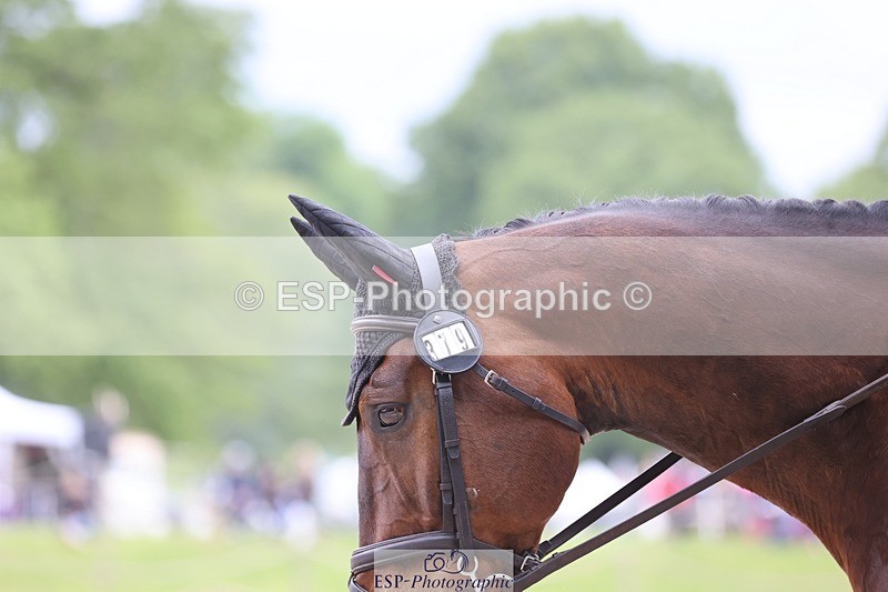 240524-172249-11290 - 379-TREBIFFIN-Neil_Fox