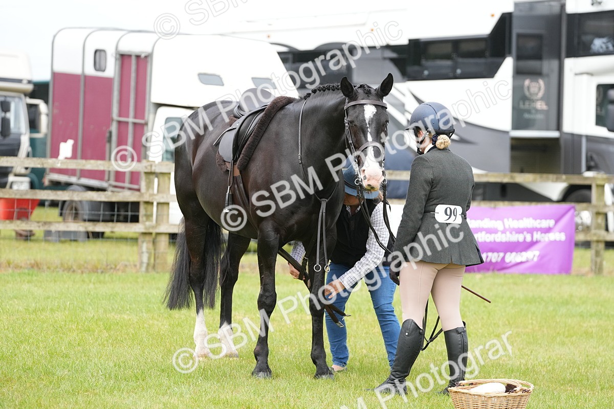 SBM_12725 - Class 97-98 - LIHS BSHA Rising Star Working Show Horse Hunter